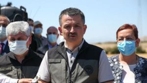 Orman yangınlarında son durumu Bakan açıkladı!