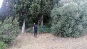 Ormanlık alanda çıkan yangını muhtar söndürdü