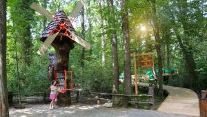 Ormanya’ya uluslararası ödül