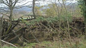 Osmanlı yadigarı bakın ne halde