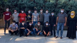 TEM'de 15 göçmen yakalandı sürücü gözaltına alındı