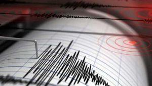 Yangın’dan sonra şimdi deprem paniği!