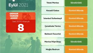Bugün çıkan 8 orman yangını kontrol altına alındı