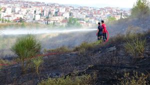 Gebze'de orman yangını