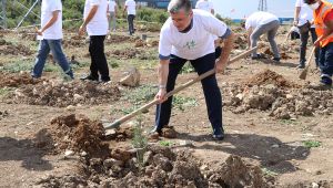 İMES’de Hedef 1 Milyon m2’lik Ağaçlandırma Yapmak 