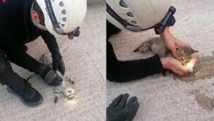 Kalbi duran kediyi hayata döndürmek için zamanla yarıştı