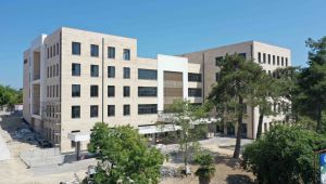 Kandıra Belediyesi hizmet binasında peyzaj çalışması