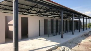 Kartepe’nin sokak hayvanlarına rehabilitasyon merkezi