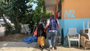 Kartepeli çınarlar yalnız bırakılmıyor