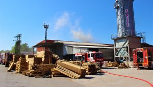 Kereste fabrikasında korkutan yangın