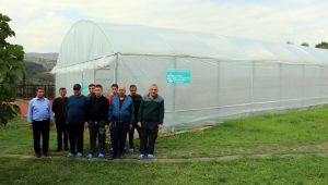 “Özel bireyler’’ serada sebze yetiştirerek rehabilite ediliyor