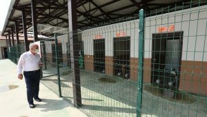 Sokak Hayvanları Rehabilitasyon Merkezi Örnek Oluyor