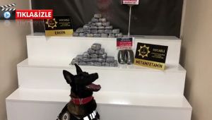 Tıra gizlenen 20 kilogram eroini Talisca buldu