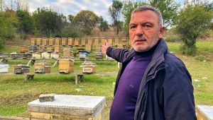 26 kovan içinde 200 kilo balını çaldılar