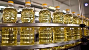 Ayçiçek yağındaki fiyat artışına üretim freni