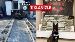 Balık yüklü araçta 53 kilo skunk esrar ele geçirildi