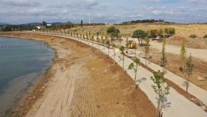 Balyanoz Koyu'na 350 adet ağaç dikildi