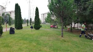 Derince'de Yeşil Alan ve Parklarda Bakım Çalışmaları
