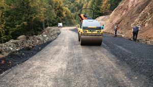 Heyelanla bozulan yol sağlamlaştırılarak asfaltlandı