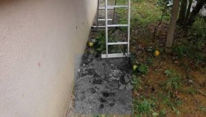 Hurma toplarken beton zemine düştü