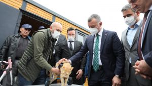 Kocaeli’de 12 Belediye sokak hayvanları için protokol imzaladı