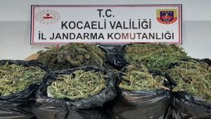 Kocaeli'de bir evde 25 kilo 685 gram esrar ele geçirildi