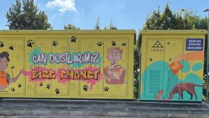 SEDAŞ trafolardan mesaj verdi!