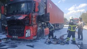 Seyir halindeki tır alev alev yandı