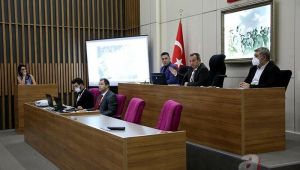 Bolu Meclisi'nin skandal kararına inceleme!