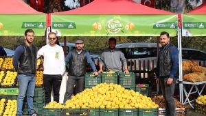 En lezzetli ayvalar bu festivalde yarıştı