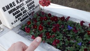 Kocaeli’de şehit mezarına çirkin saldırı