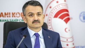 Pakdemirli: Ödemeler hesaplara aktarılmaya başlandı
