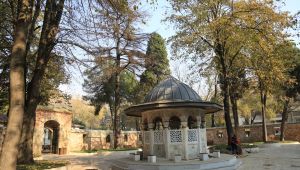 Yeni Cuma camiinde tehlike arz eden 2 ağaç kaldırılacak