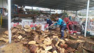 Başiskele'de budanan ağaçlar vatandaşlara yakacak oluyor