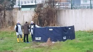 Kocaelili şahsın cesedi köpekler tarafından parçalanmış halde bulundu