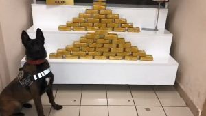 Minibüse zulananan 26 kilo eroini 'Talisca' buldu