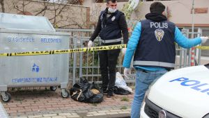 Poşetlenmiş halde telef olmuş hayvanlar bulundu