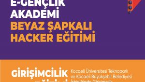 Uygulamalı Siber Güvenlik ve Etik Hacker