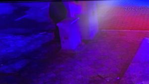 Darıca'da cadde ortasında iğrenç olay