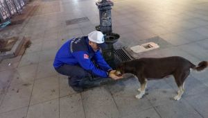 Elleriyle köpeğe su içirdi, gönülleri fethetti