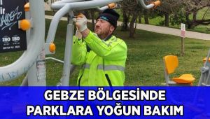 Gebze bölgesinde parklara yoğun bakım