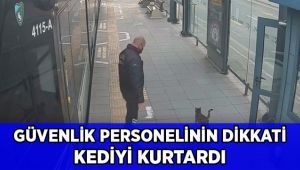 Güvenlik personelinin dikkati kediyi kurtardı