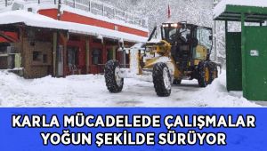 Karla mücadelede çalışmalar yoğun şekilde sürüyor
