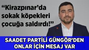 Saadetli Güngör'den sokak hayvanları çağrısı!