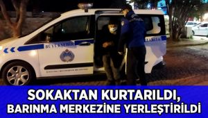 Sokaktan kurtarıldı, Barınma Merkezine yerleştirildi