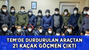 TEM'de durdurulan araçtan 21 kaçak göçmen çıktı