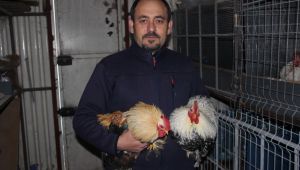 3 tavukla başladı, şimdi mini çiftlik kurdu