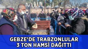 3 ton hamsi dağıtıldı, horon tepildi, türkü söylendi