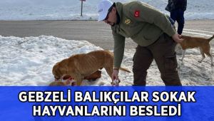 Balıkçılar sokak hayvanlarını besledi