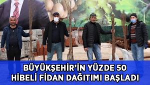 Büyükşehir’in yüzde 50 hibeli fidan dağıtımı başladı